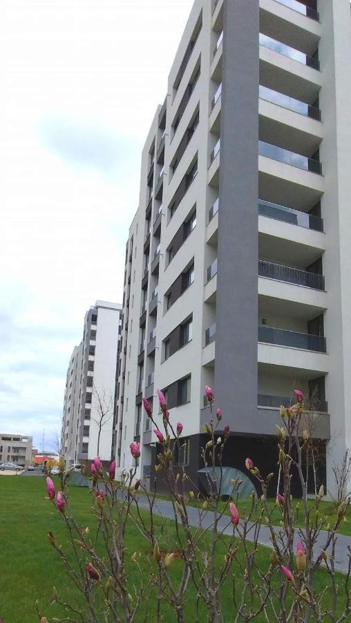 Brigitte Apartment ブラショフ エクステリア 写真