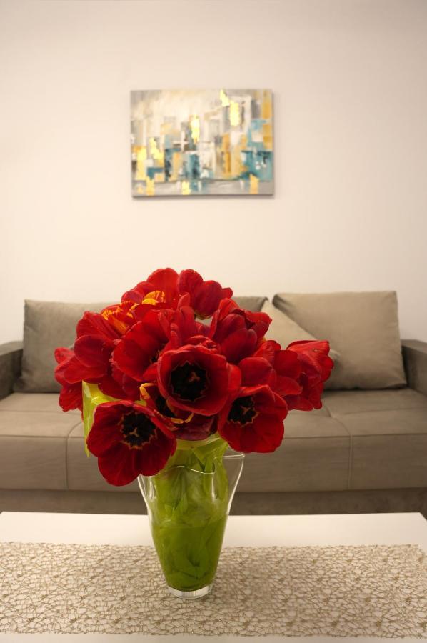 Brigitte Apartment ブラショフ エクステリア 写真