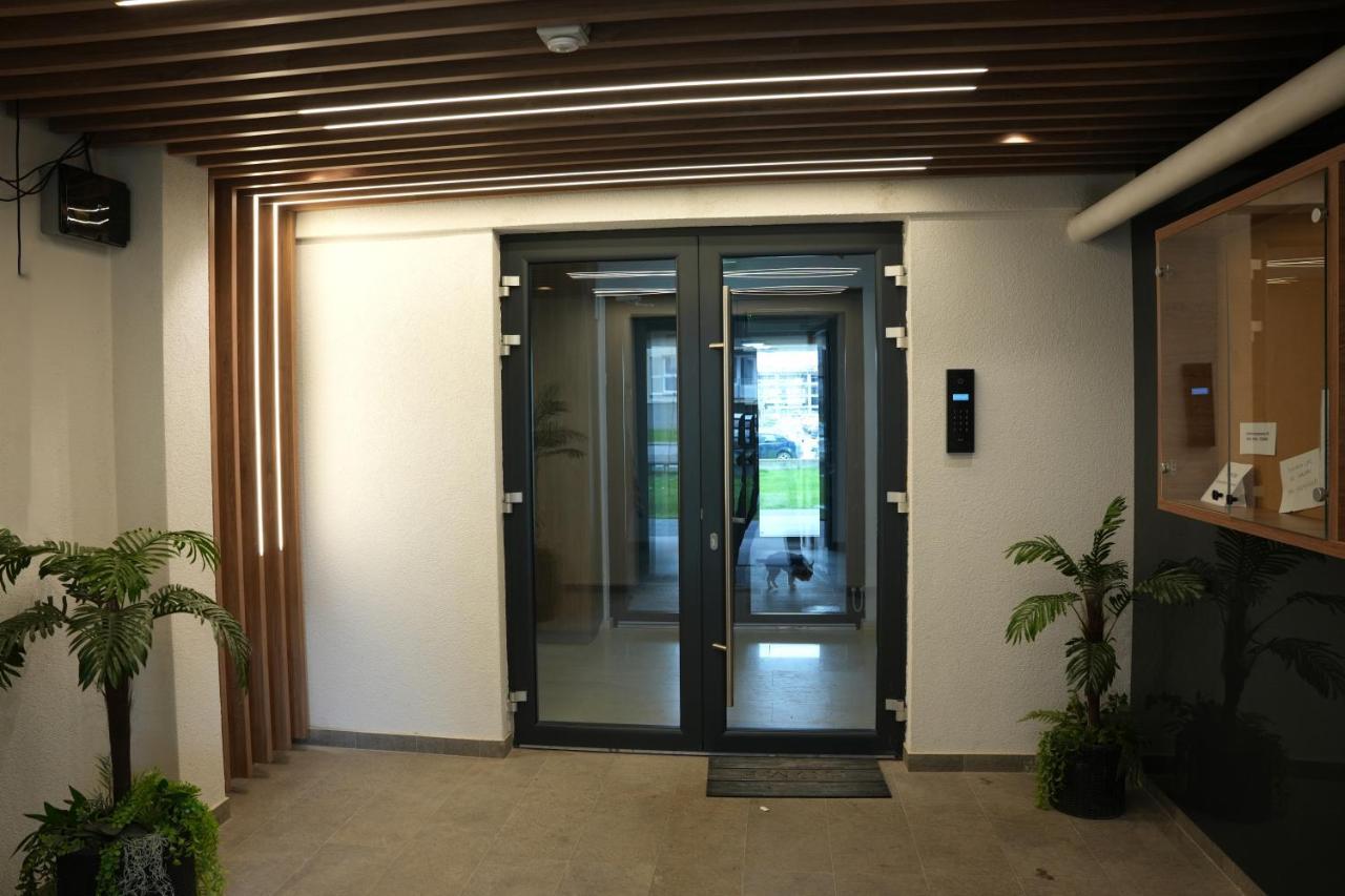 Brigitte Apartment ブラショフ エクステリア 写真