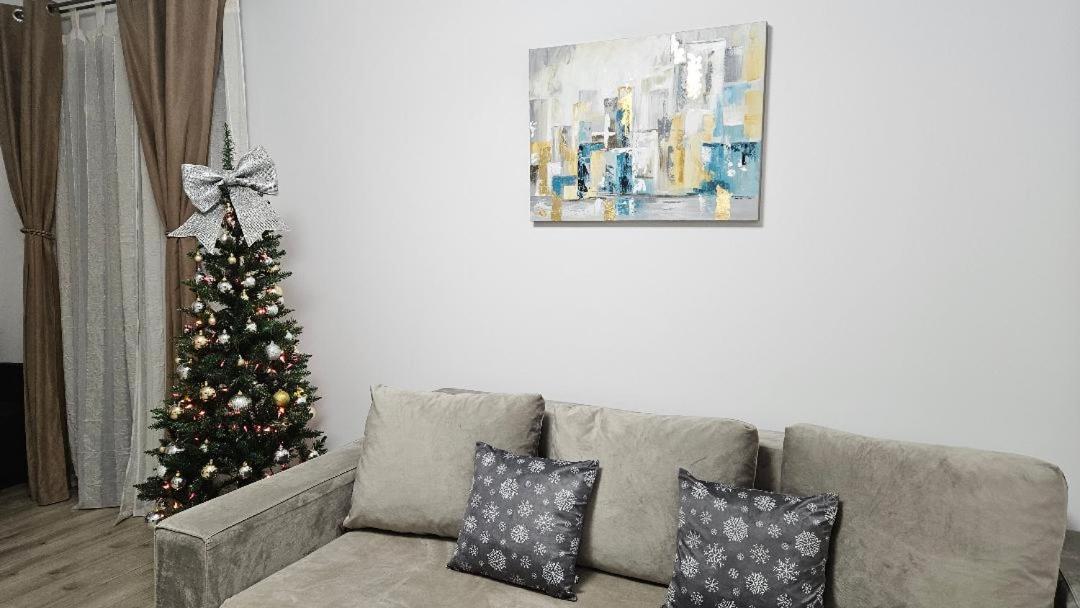 Brigitte Apartment ブラショフ エクステリア 写真