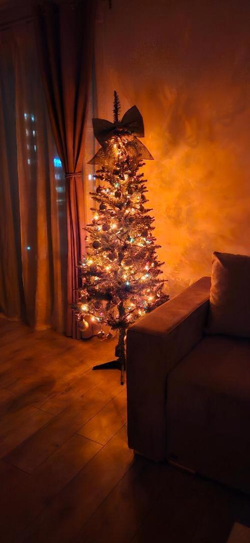 Brigitte Apartment ブラショフ エクステリア 写真